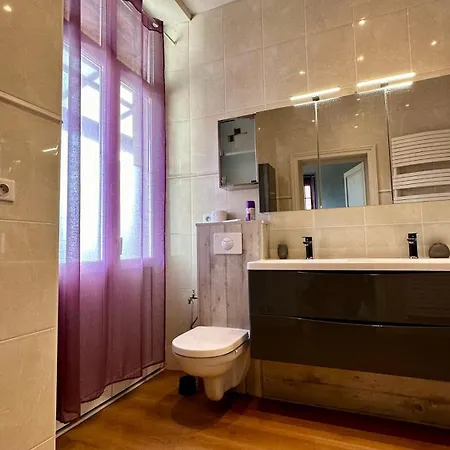 Splendide Bourgeois Avec Terrasse Appartement *