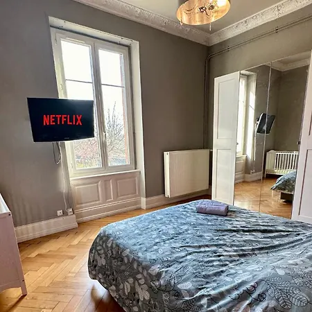 Splendide Bourgeois Avec Terrasse Appartement Mulhouse