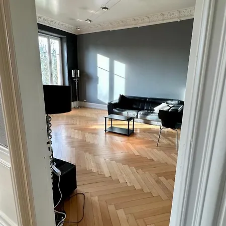 Appartement Splendide Bourgeois Avec Terrasse Mulhouse