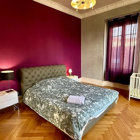Splendide Bourgeois Avec Terrasse Mulhouse
