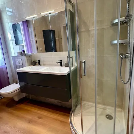 Appartement Splendide Bourgeois Avec Terrasse Mulhouse