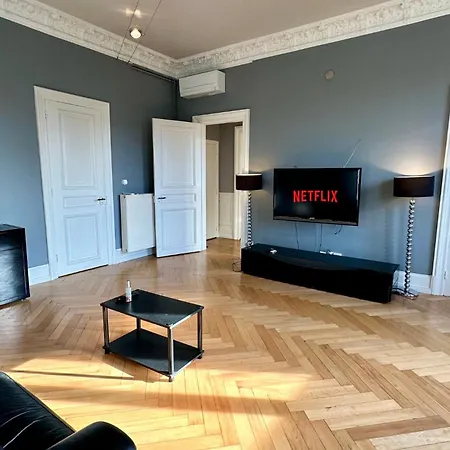 Appartement Splendide Bourgeois Avec Terrasse Mulhouse